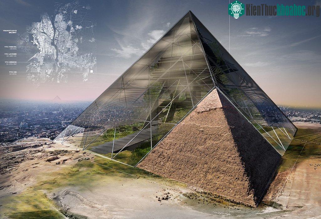 Bio-Pyramid