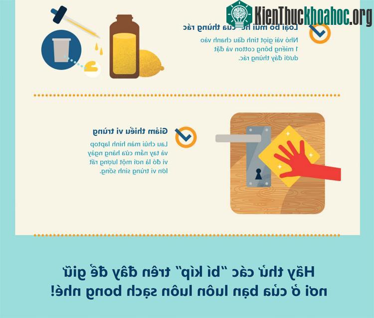 Hãy lau dọn màn hình laptop và tay nắm cửa hàng ngày vì đó là nơi có lượng lớn vi trùng sinh sống.