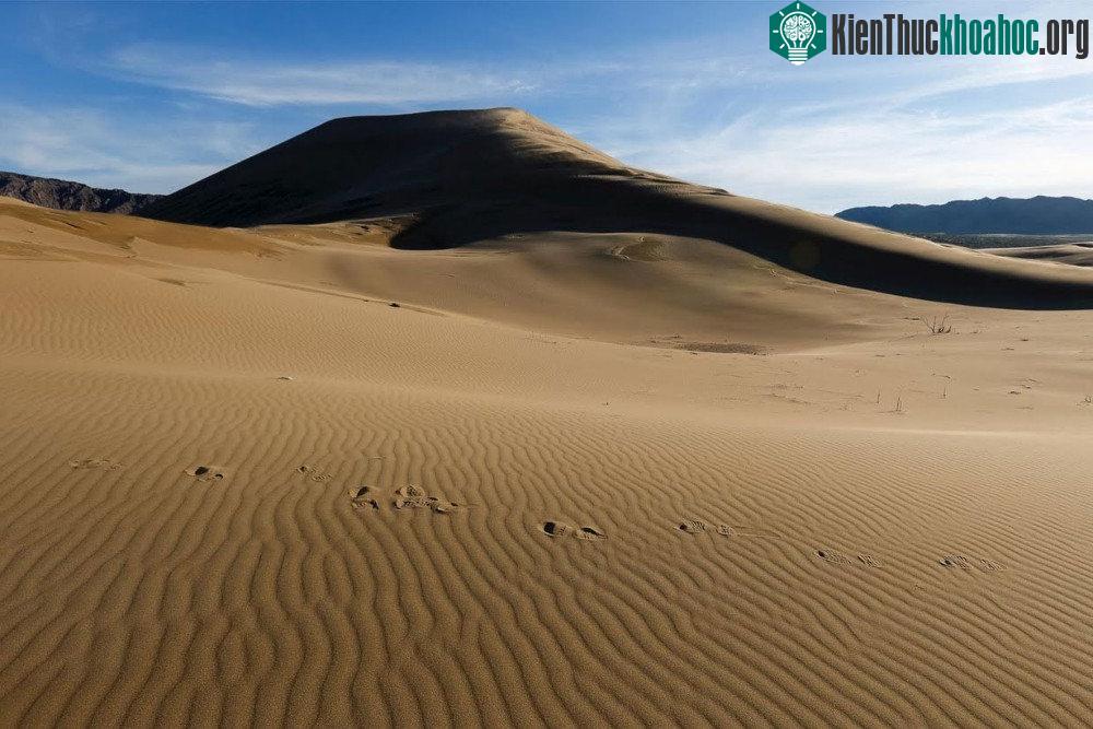 Cách tốt nhất để nghe tiếng cát hát là trèo lên đỉnh đồi và trượt xuống.