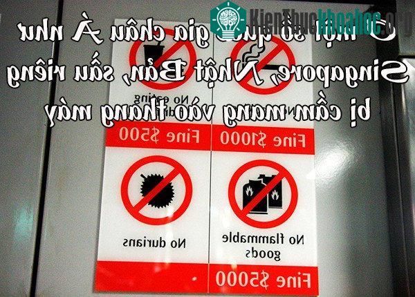 Mức độ nguy hiểm của sầu riêng