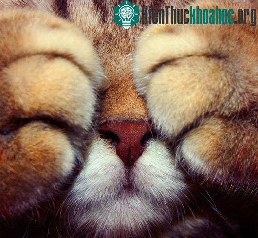 Từ bé đã được mọi người nhận xét là nhạy cảm và hay ngượng ngùng