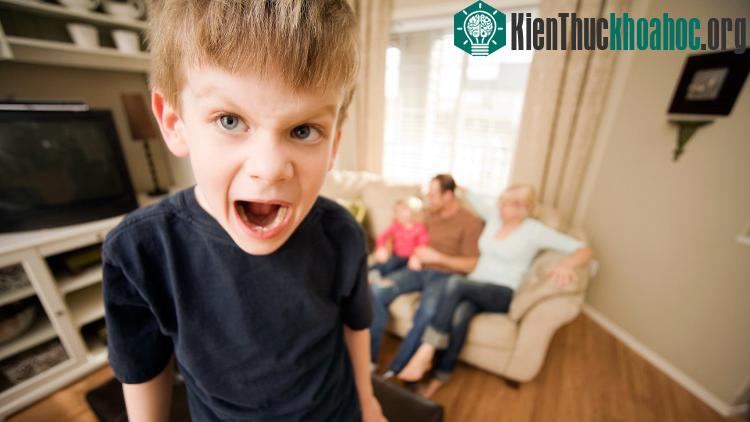 Người mắc SPD được chia làm ba loại: "quá nhạy" , "quá thiếu" và "hỗn hợp".