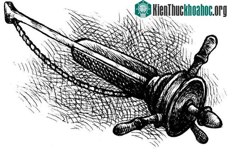 Thiết bị này dùng điều trị các bệnh liên quan đến dạ con, buồng trứng hoặc trĩ.