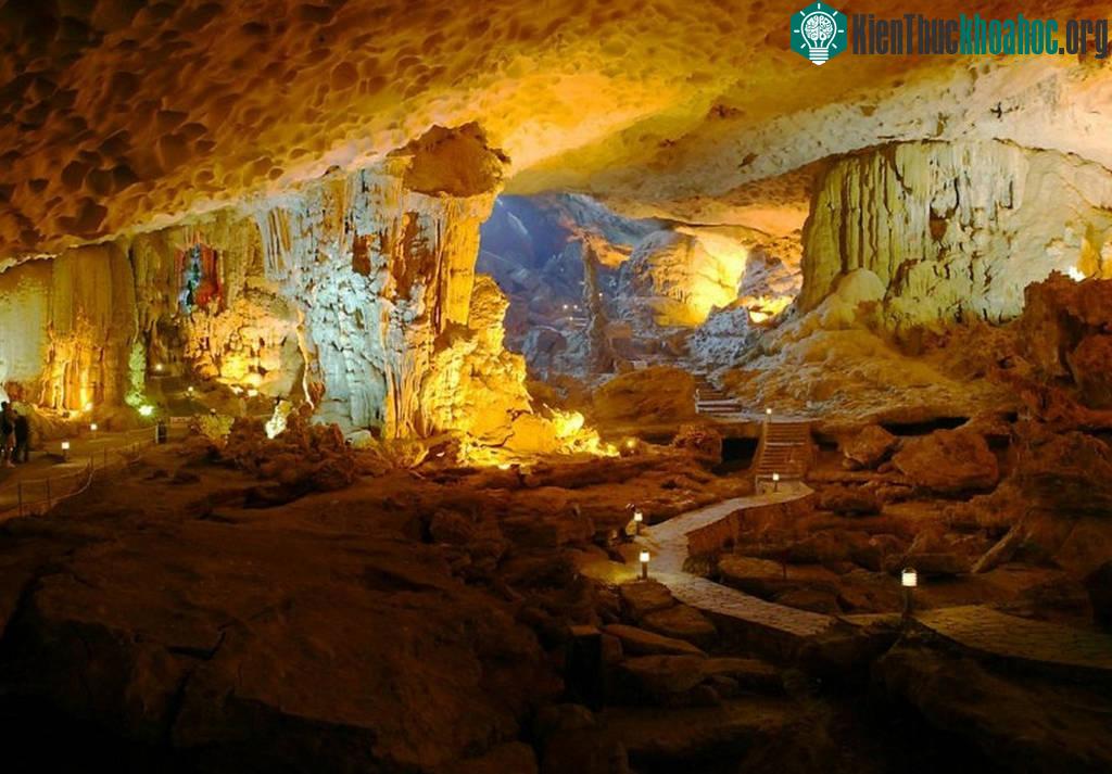 Hang Đầu Gỗ - Quảng Ninh