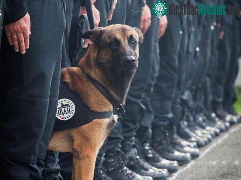 Ảnh: Police Nationale.