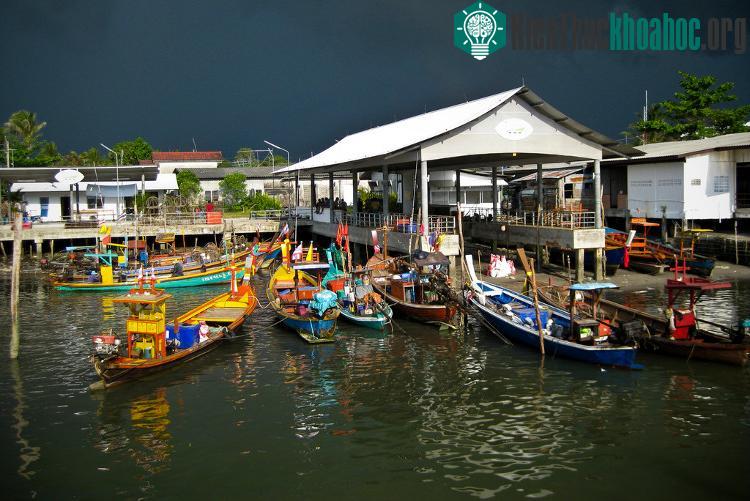 Nơi đây không có xe cơ giới, phương tiện vận tải phổ biến nhất là bằng những chú lừa.