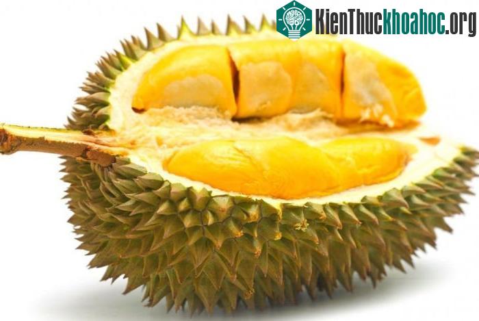 Ai không nên ăn sầu riêng?
