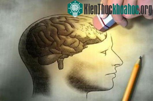 Tái cấu trúc những quá khứ đau buồn