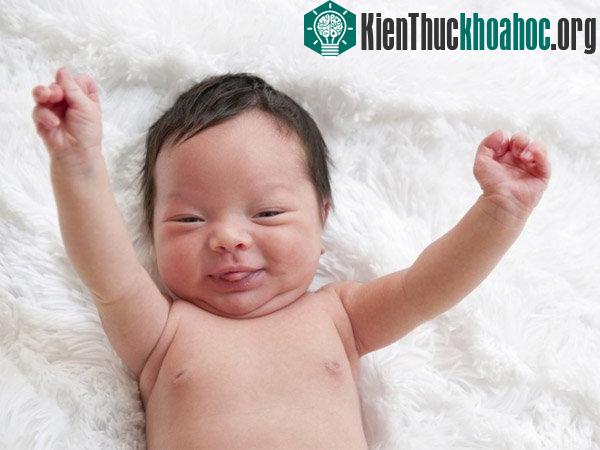 Trẻ sơ sinh chưa có xương bánh chè. Xương bánh chè chỉ xuất hiện khi trẻ từ 2 tới 6 tuổi.