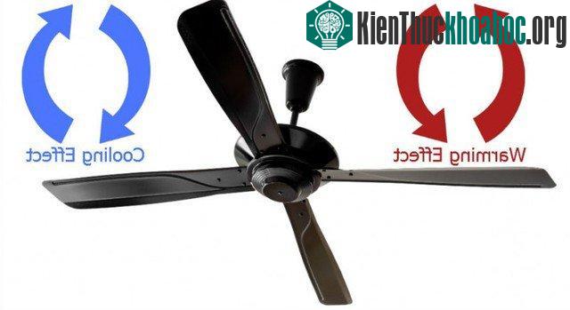 10 cách giúp nhà của bạn mát mẻ hơn trong những ngày nắng nóng