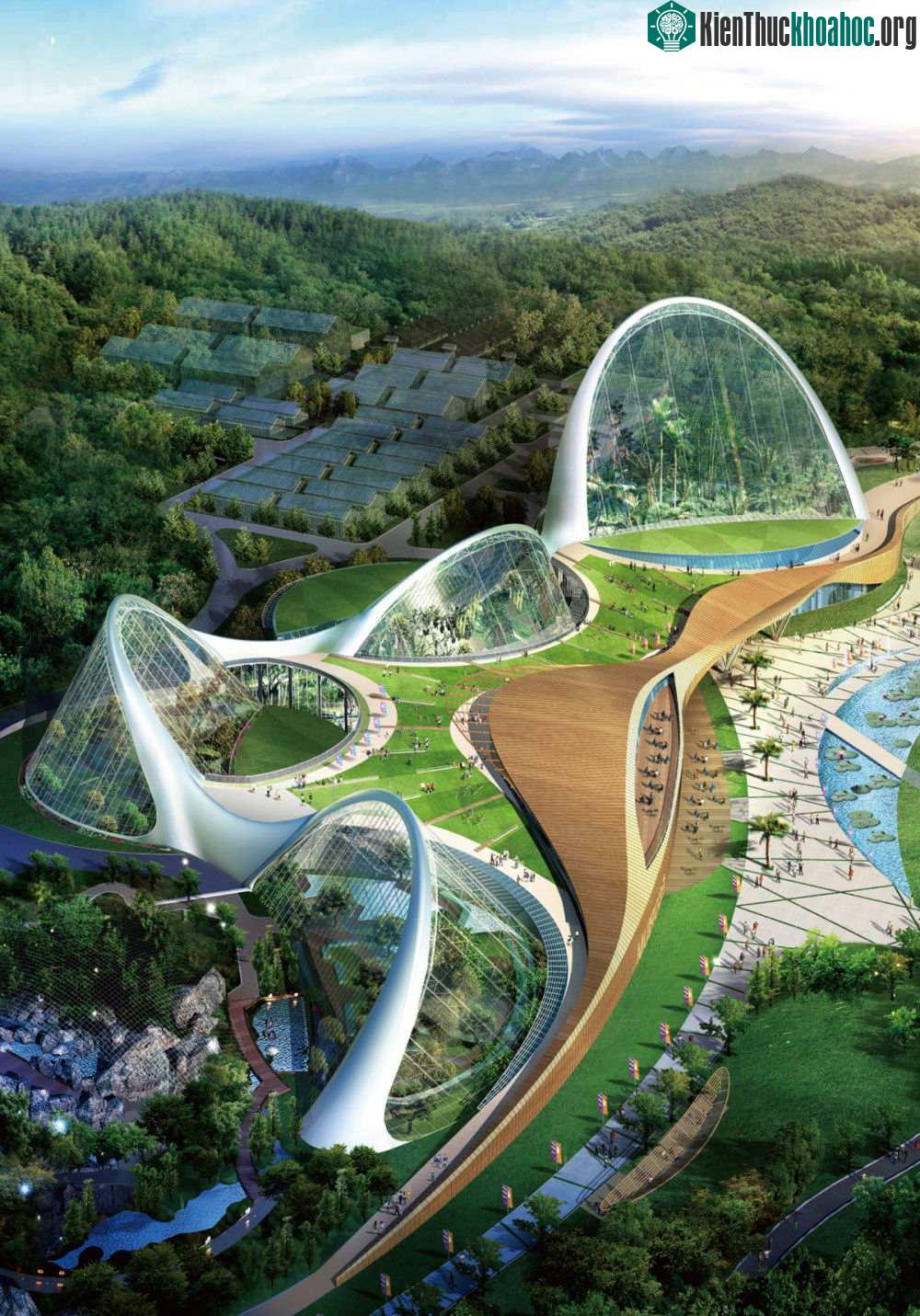 Ecorium, Hàn Quốc