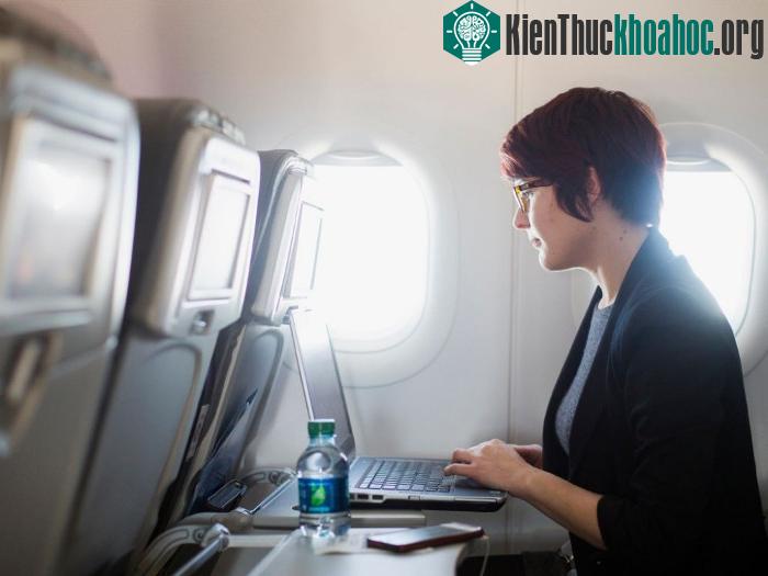 Chỗ khay gấp sau ghế là nơi chứa nhiều vi khuẩn nhất.