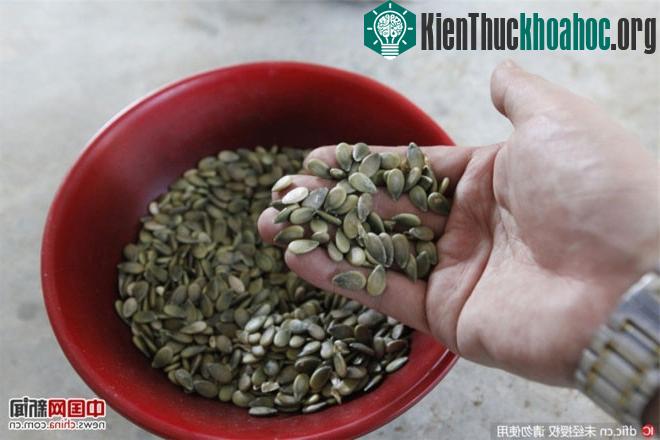 Hạt của dưa hấu có màu khác với màu đen của hạt dưa thông thường.