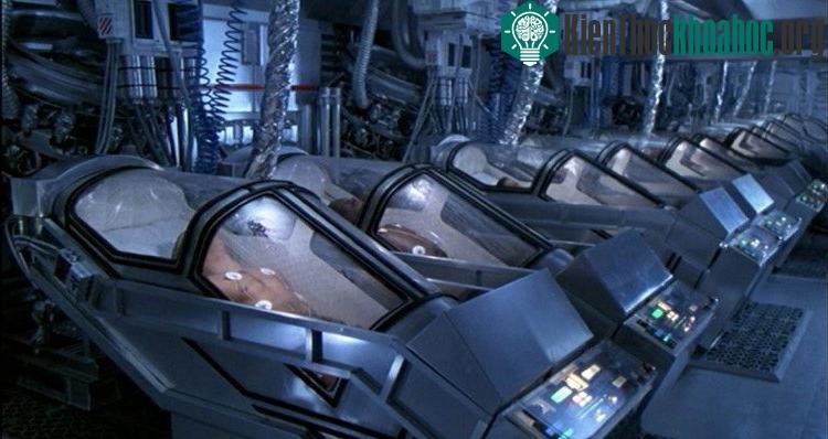 Hình thức này chỉ cho phép được đem ra ứng dụng khi cơ thể đã hoàn toàn ngừng hoạt động.