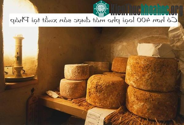 Trong đó pho mát Camembert được mệnh danh là vua pho mát của Pháp.