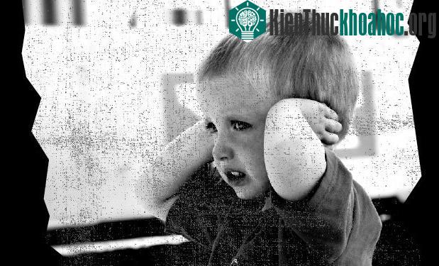 Được đặt trong môi trường phù hợp, người "quá nhạy" có thể tạo nên nhiều bất ngờ.