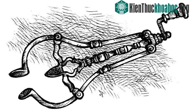 Dụng cụ này liên quan đến việc kiểm tra, chẩn đoán cơ quan sinh sản của phụ nữ.