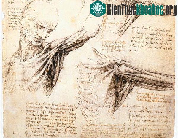 5 thiết kế vượt thời gian của Leonardo da Vinci