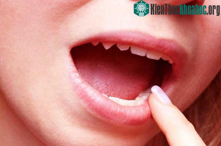 Con người có thể tiết ra 1,5 lít nước bọt mỗi ngày.