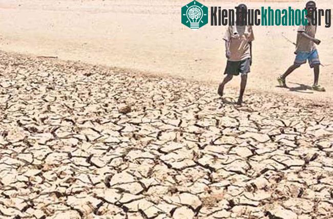 Kể từ giữa tháng 7/2011, các nước ở vùng Sừng Châu Phi như Kenya, Somalia, Ethipoa và Djibouti đã lâm vào cuộc khủng hoảng lương thực