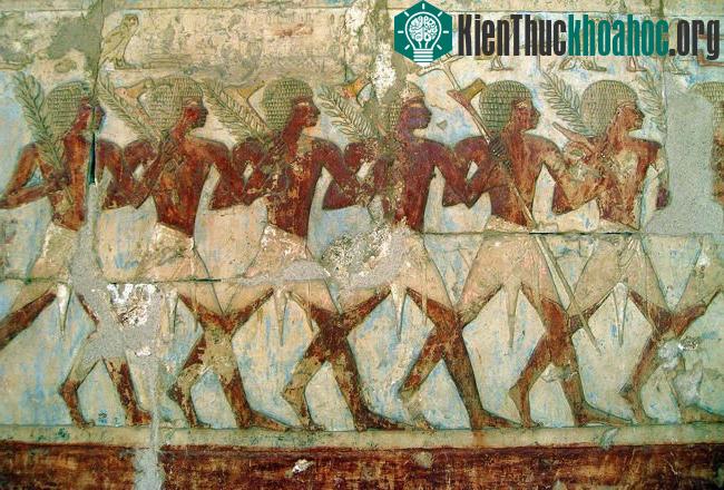 Vùng đất Punt bí ẩn
