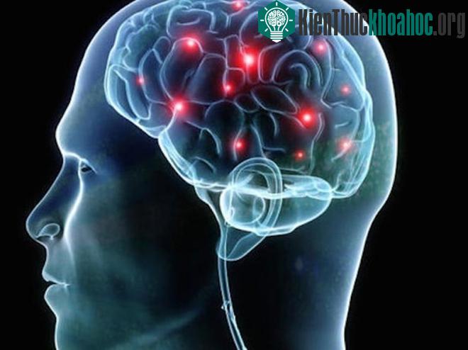 Rối loạn hành vi giấc ngủ REM thường gắn liền với những căn bệnh thần kinh như Parkinson.