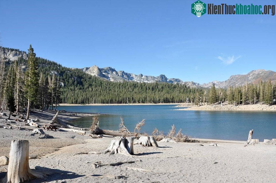 Hồ Horseshoe, California, Mỹ: Hồ nước nằm ở hạt Mono này có lượng CO2 và H2S, hỗn hợp cực độc không chỉ làm chết một diện tích cây lớn xung quanh mà còn khiến con người mất mạng. Năm 1998, không kh...