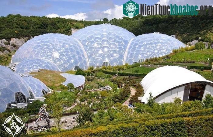 Tòa nhà kính khổng lồ ở Cornwall (phía Tây Nam nước Anh) gồm một loạt nhà vòm trong suốt, có khung sườn làm bằng thép với những hình lục giác nối nhau trông giống như của người ngoài hành tinh.