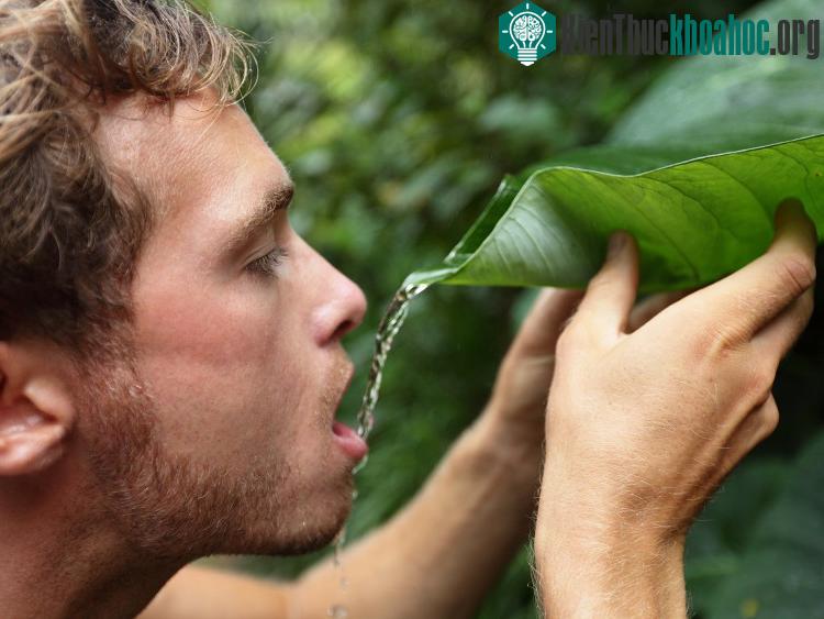 Chúng ta cần biết các giới hạn của bạn thân để sinh tồn khi chẳng may rơi vào hoàn cảnh khó khăn.