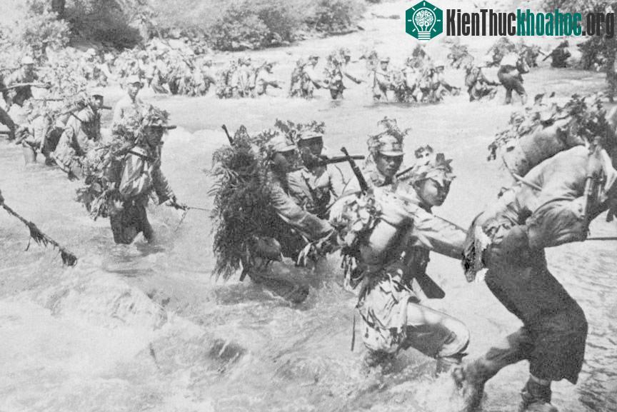 Năm 1945, sau cuộc chiến giữa quân đội Anh và phát xít Nhật, ước tính khoảng 1.000 lính Nhật Bản đã phải chạy trốn vào vùng đầm lầy bao quanh hòn đảo Ramree ở ngoài khơi bờ biển của Myanmar.