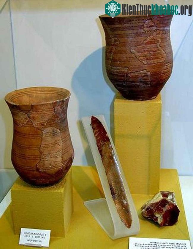Bình gốm của văn minh Bell–beaker. (Ảnh: Creative Commons).