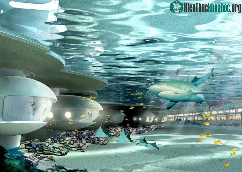 Khách sạn dưới nước