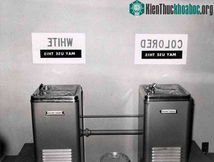 Albert Einstein lên án sự phân biệt chủng tộc, ông gọi đó là "bệnh của người da trắng" và làm việc chống phân biệt chủng tộc ở Mỹ.