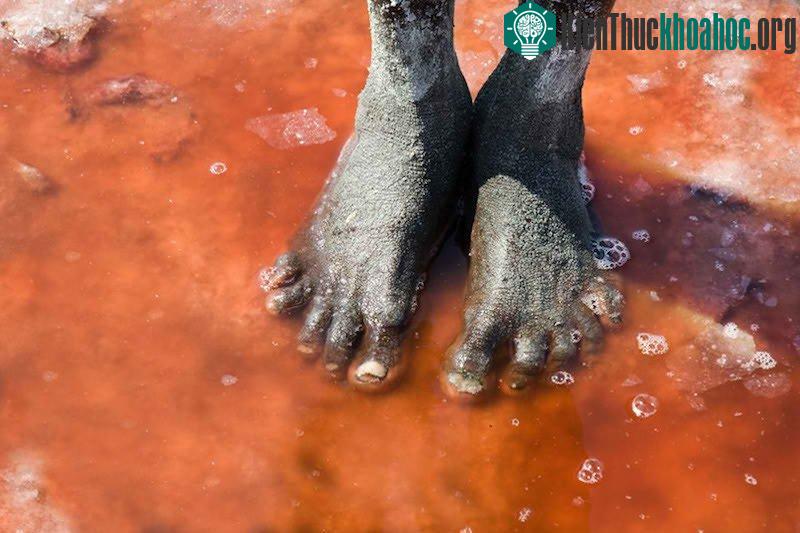 Hồ Natri ở Tanzania.