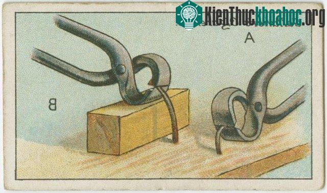 Cách nhổ đinh hiệu quả