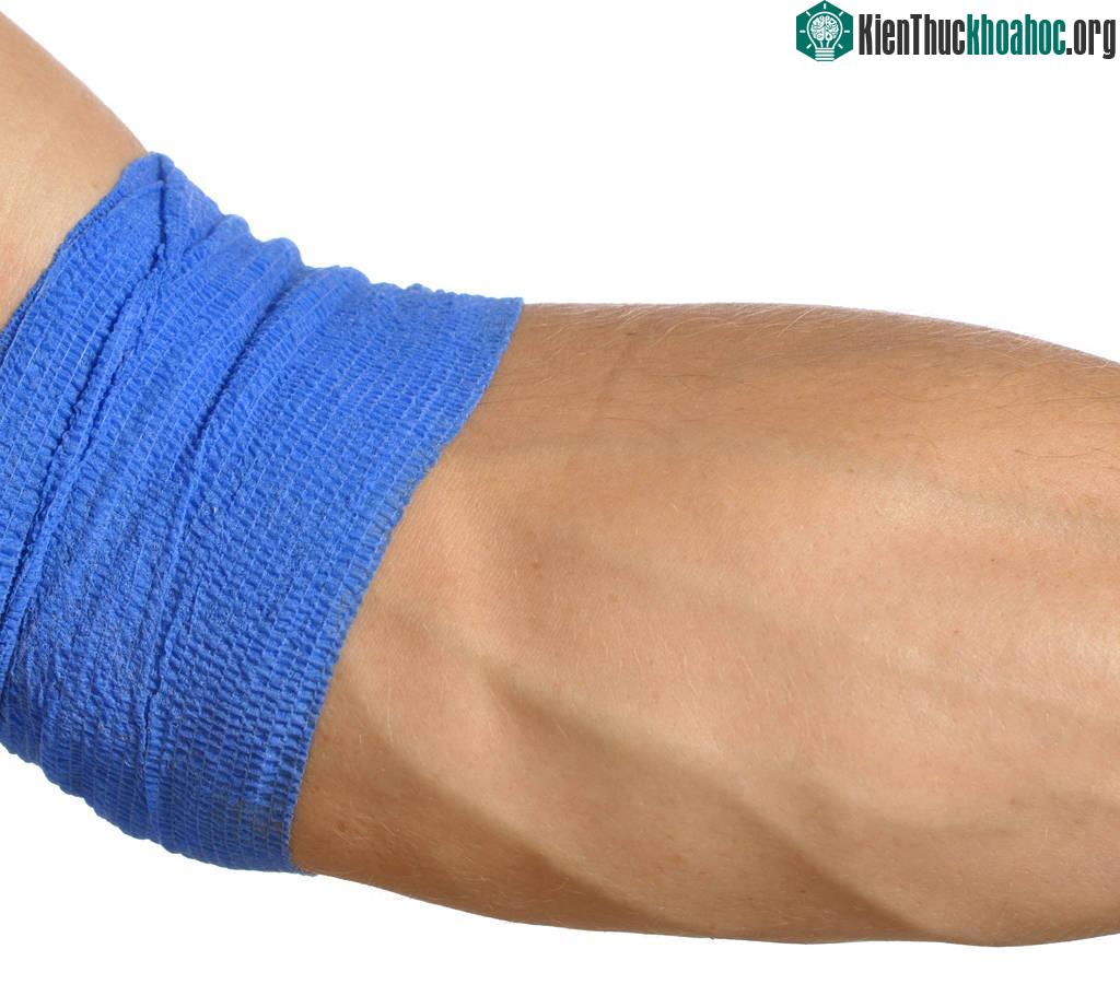 Dòng máu giàu oxy chảy trong động mạch và mao mạch luôn có màu đỏ tươi.