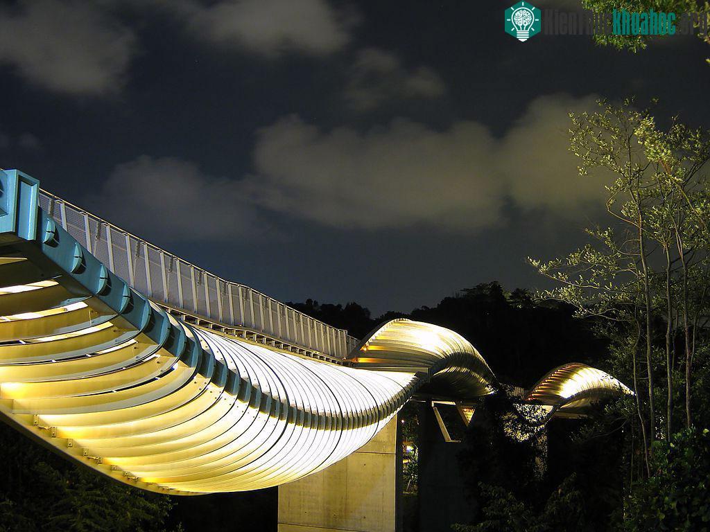 Cầu Henderson Wave nằm trên một con phố nhỏ và khá vắng vẻ có tên Telok Blangah, Singapore.