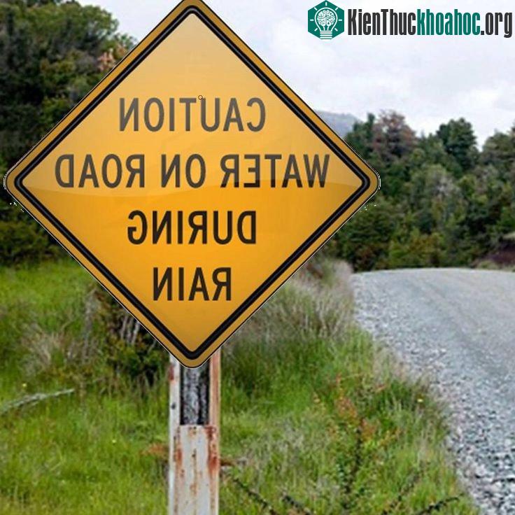 Biển ghi "Cẩn thận. Có nước trên đường khi trời mưa". Một sự thật hiển nhiên và không cần có biển báo để nhắc nhở. (Ảnh: Deviantart.)