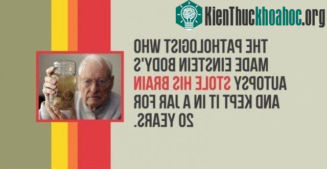 Các nhà nghiên cứu bệnh ở người khám nghiệm tử thi cơ thể của Einstein đã đánh cắp não của ông và giữ nó trong một cái bình trong 20 năm.
