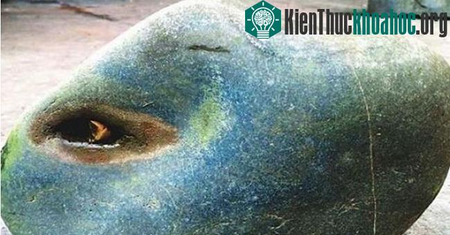 Hòn đá có trọng lượng 2,5kg.