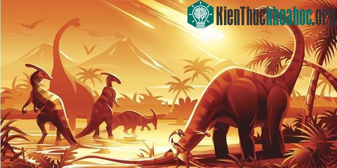 Sinh giới đã phục hồi thế nào sau đại tuyệt chủng?