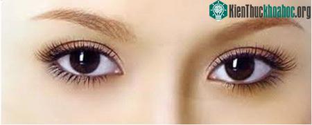 Những điều lý thú về đôi mắt