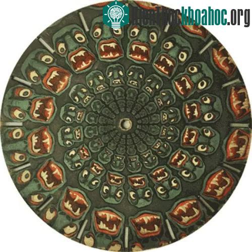 Phenakistoscope