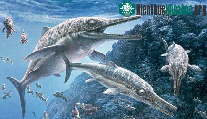 Loài Ichthyosaur này có hình dạng cơ thể giống như loài cá heo hiện tại.