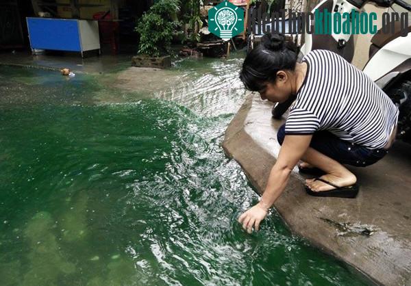 Nước mưa chuyển màu xanh. (Ảnh: Chí Toàn).
