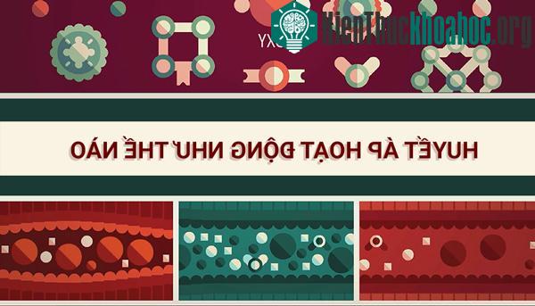 Huyết áp hoạt động như thế nào?