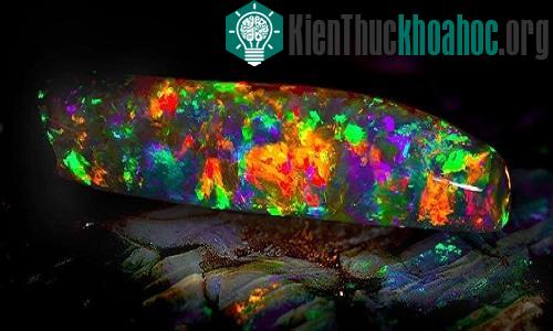Đá Opal (ngọc mắt mèo) Virgin Rainbow với các màu đỏ, vàng, cam, xanh lá, xanh da trời tương phản tạo nên vẻ đẹp rực rỡ. (Ảnh: Bảo tàng Nam Australia.)