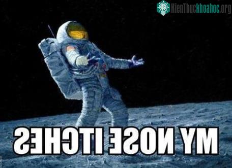 Ngứa mũi quá đi mất!!!!!!!!