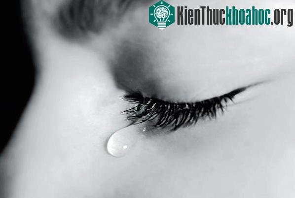 Nguyên nhân khóc quyết định thành phần của nước mắt