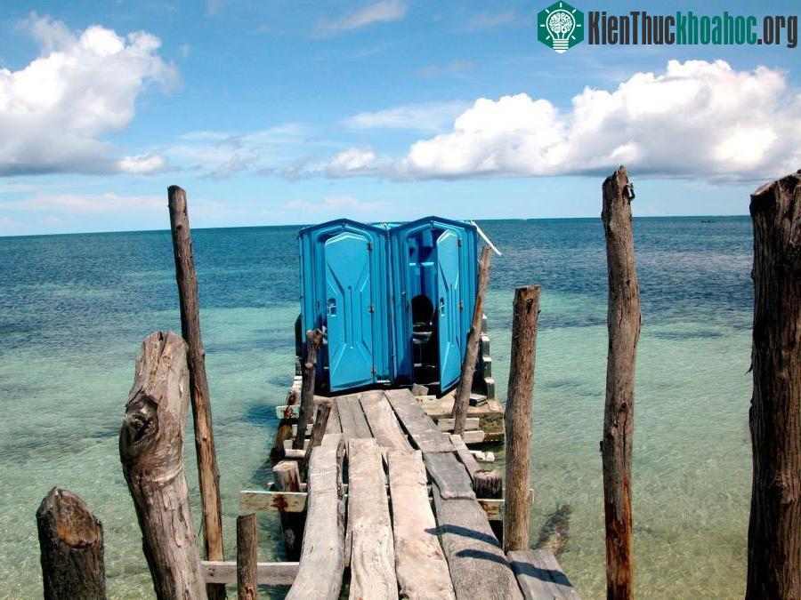 Toilet nhỏ bé này nằm trên một bãi cát trắng dài khi du khách rảo bước trên lối đi bằng gỗ giản dị. Với dòng nước biển trong vắt của đảo San Blas chảy bên dưới, dù đang g...